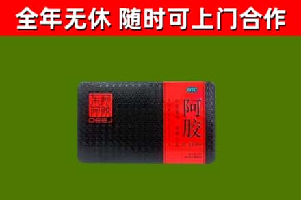 静海区回收阿胶
